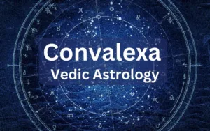 What is Convalexa